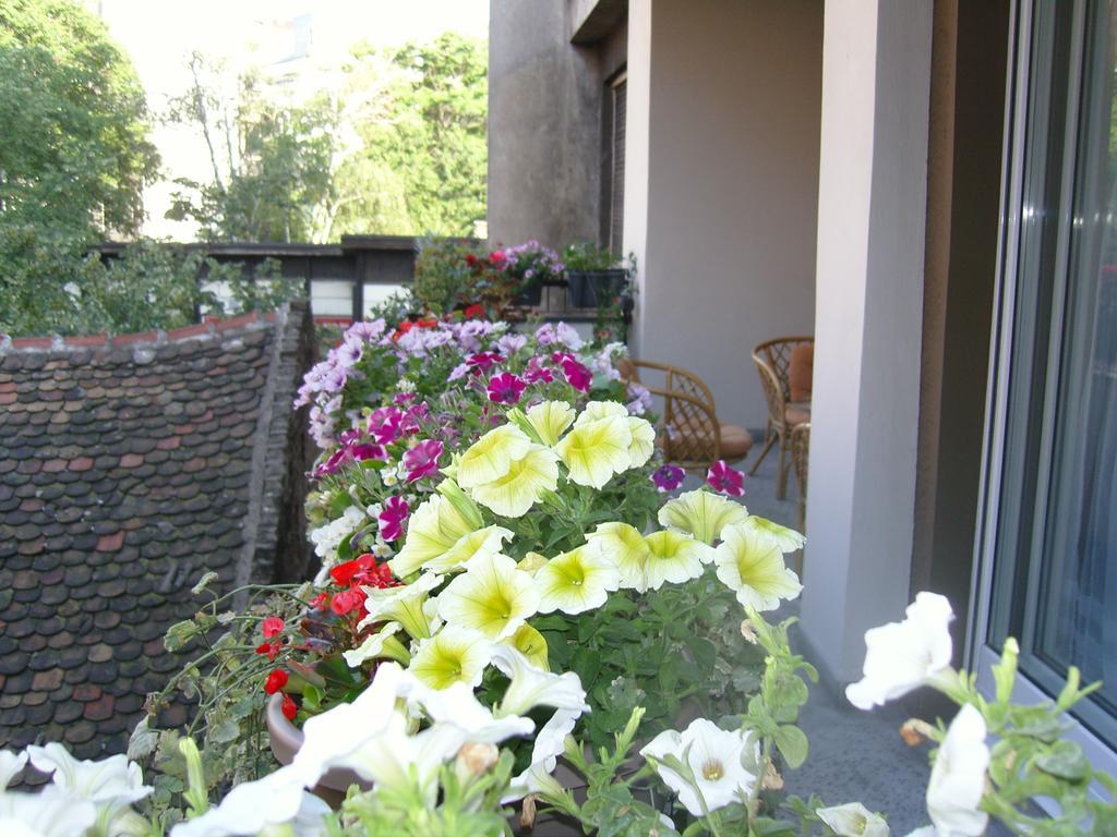 Apartment Deligradska Beograd Eksteriør billede